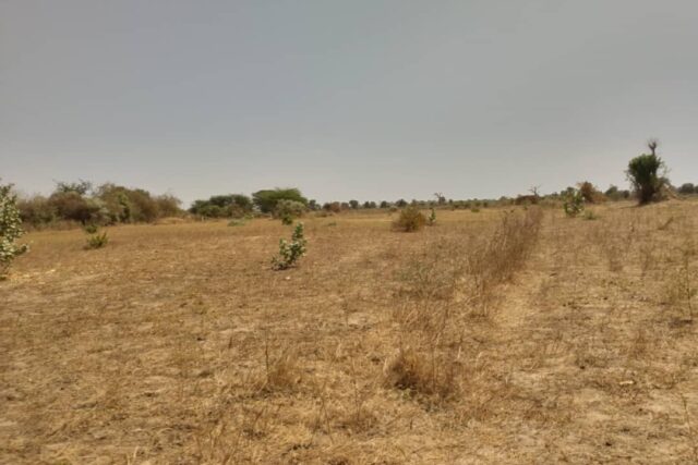 Terrain de 1,78 hectare vers Sandiara