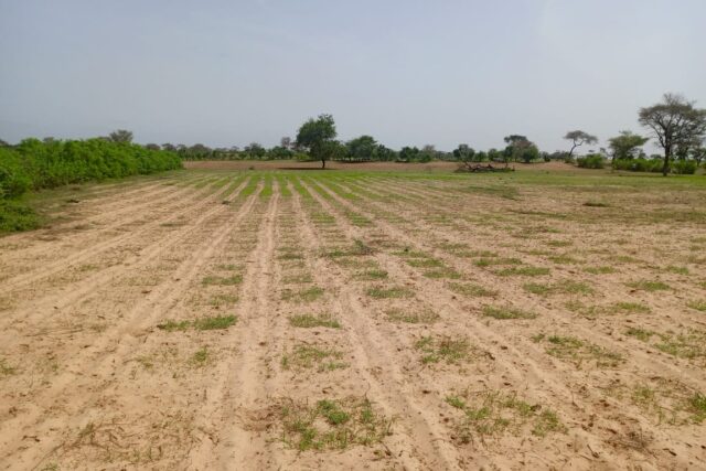 Terrain de 1,75 hectare vers Tassette