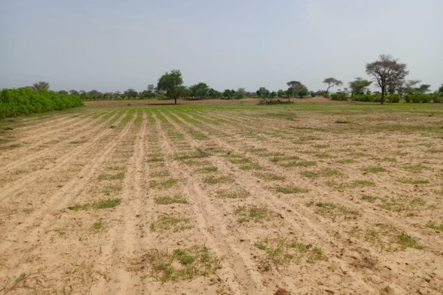 Terrain de 1,75 hectare vers Tassette