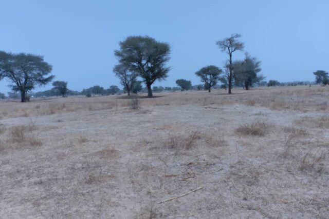 Terrain de 1,73 hectare vers Niakhar Terrain de 1,73 hectare vers Niakhar