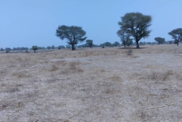 Terrain de 1,73 hectare vers Niakhar