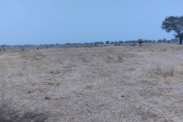 Terrain de 1,73 hectare vers Niakhar