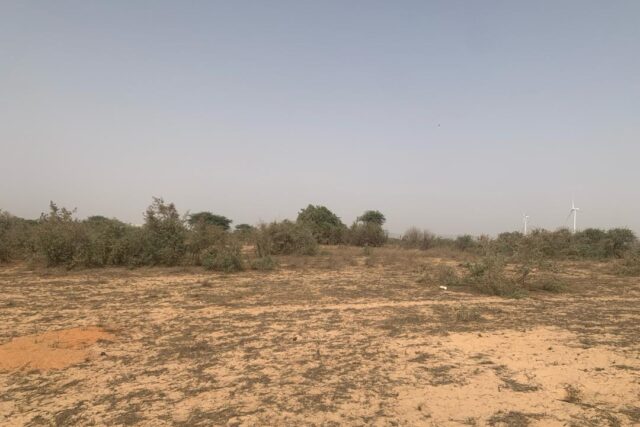 Terrain de 1,72 hectare vers Taiba Ndiaye Terrain de 1,72 hectare vers Taiba Ndiaye