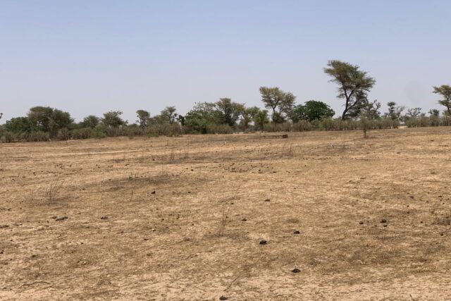 Terrain de 1,72 hectare vers Notto Diobass Terrain de 1,72 hectare vers Notto Diobass