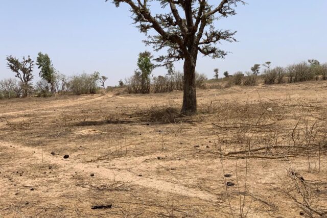 Terrain de 1,72 hectare vers Notto Diobass