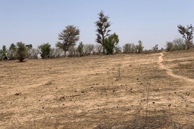 Terrain de 1,72 hectare vers Notto Diobass