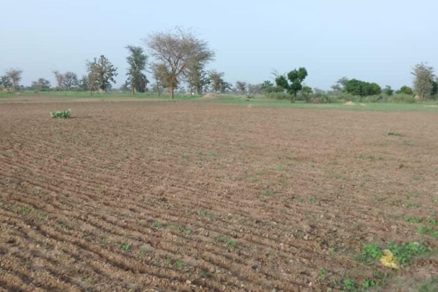 Terrain de 1,71 hectare vers Sandiara Terrain de 1,71 hectare vers Sandiara