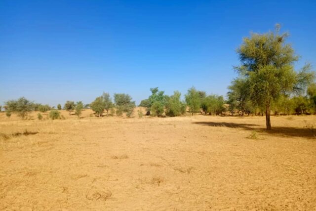 Terrain de 1,71 hectare vers Mbadiane Terrain de 1,71 hectare vers Mbadiane