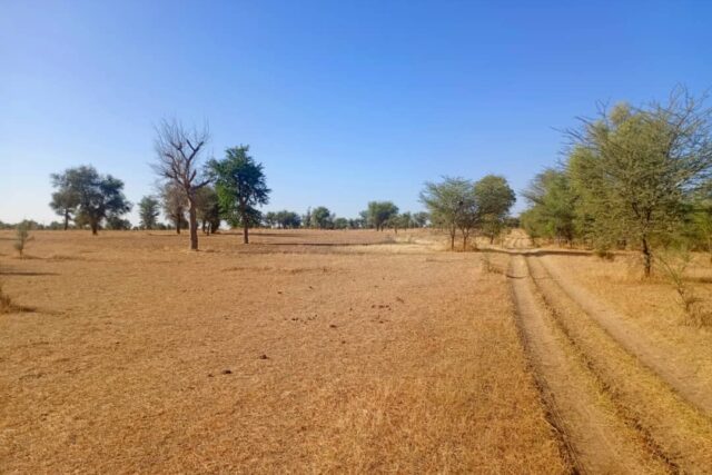 Terrain de 1,71 hectare vers Mbadiane