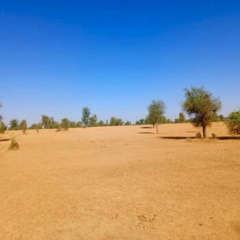 Terrain de 1,71 hectare vers Mbadiane