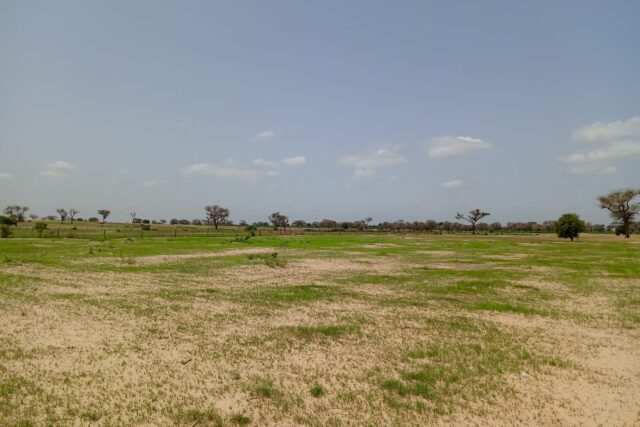 Terrain de 1,69 hectare vers Tassette Terrain de 1,69 hectare vers Tassette