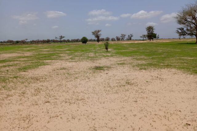 Terrain de 1,69 hectare vers Tassette