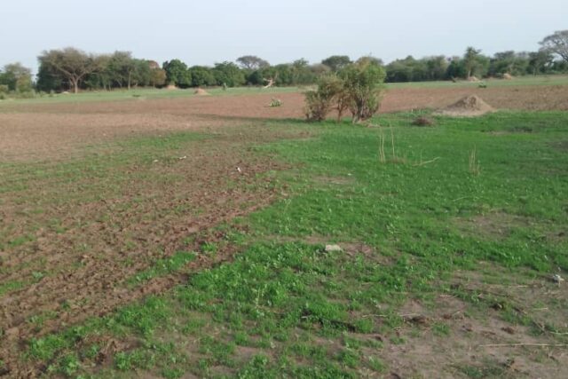 Terrain de 1,68 hectare vers Sandiara