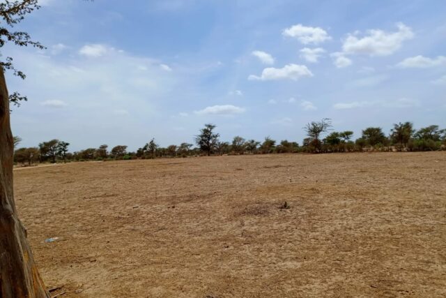 Terrain de 1,67 hectare vers Notto Diobass Terrain de 1,67 hectare vers Notto Diobass