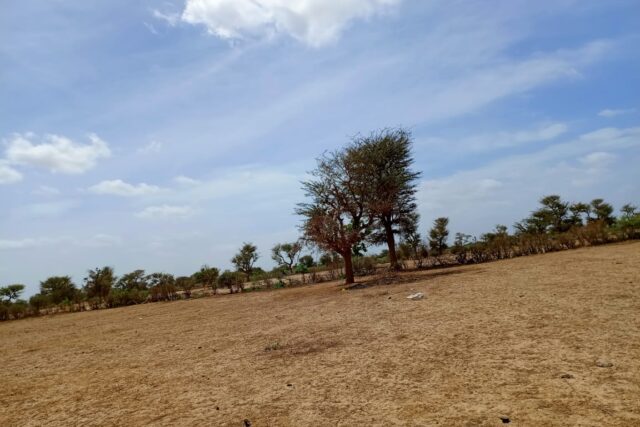 Terrain de 1,67 hectare vers Notto Diobass