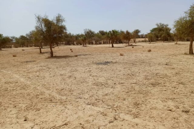 Terrain de 1,65 hectare vers Diokoul Diawrigne