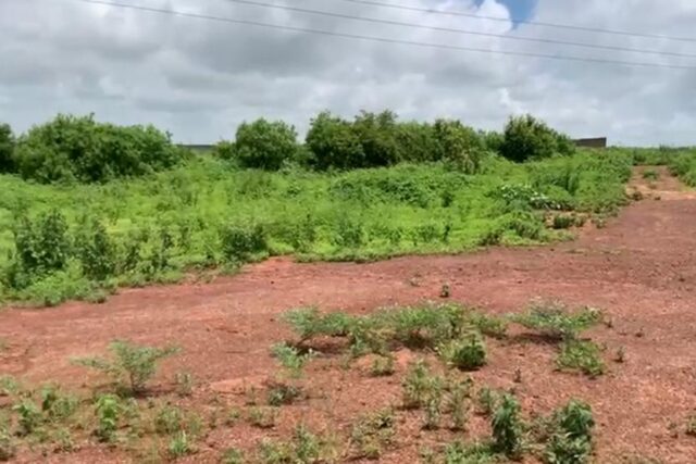 Terrain de 1,63 hectare vers Diass Terrain de 1,63 hectare vers Diass