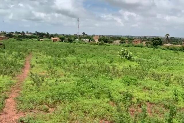 Terrain de 1,63 hectare vers Diass