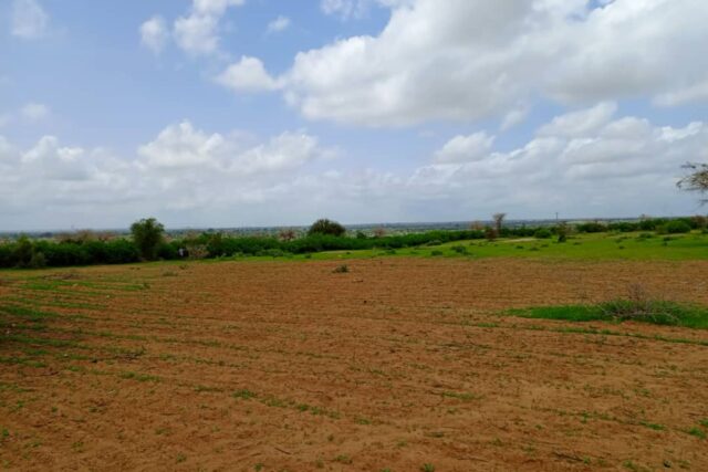 Terrain de 1,59 hectare vers Keur Moussa Terrain de 1,59 hectare vers Keur Moussa