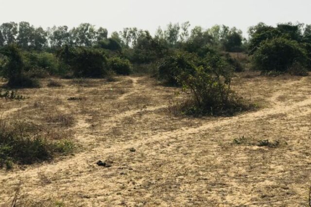 Terrain de 1,6 hectare vers Diender Terrain de 1,6 hectare vers Diender