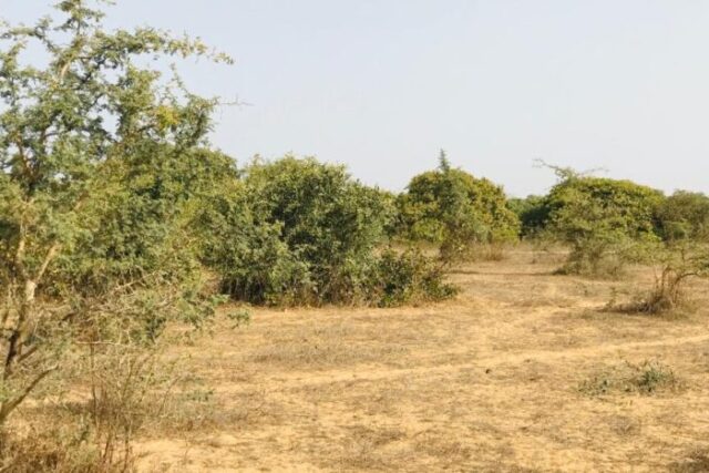 Terrain de 1,6 hectare vers Diender