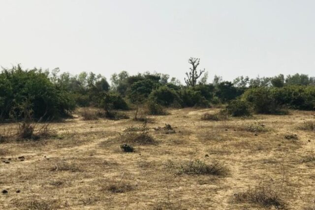 Terrain de 1,6 hectare vers Diender