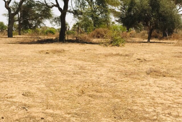 Terrain de 1,60 hectare vers Cherif Lô