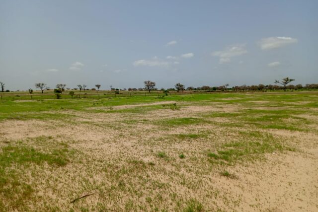 Terrain de 1,62 hectare vers Tassette Terrain de 1,62 hectare vers Tassette