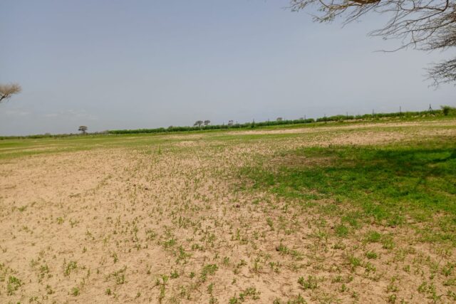 Terrain de 1,62 hectare vers Tassette