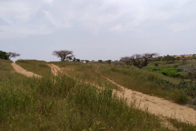 Terrain de 1,83 hectare vers Diokoul Diewrigne Terrain de 1,83 hectare vers Diokoul Diewrigne