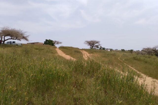 Terrain de 1,83 hectare vers Diokoul Diewrigne