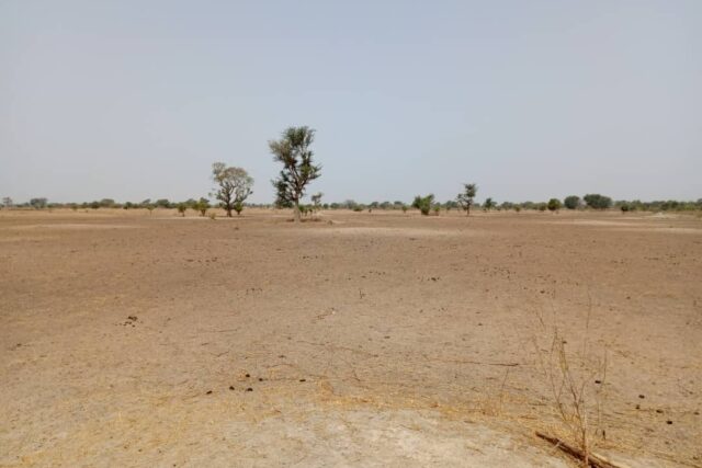 Terrain de 1,83 hectare vers Tassette Terrain de 1,83 hectare vers Tassette