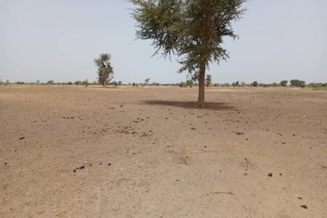 Terrain de 1,83 hectare vers Tassette