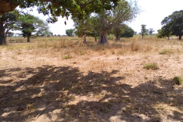 Terrain de 1,85 hectare vers Tassette