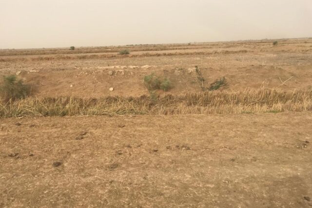 Terrain de 1,86 hectare vers Keur Moussa Terrain de 1,86 hectare vers Keur Moussa