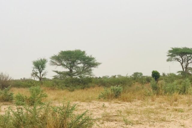 Terrain de 1,87 hectare vers Méouane Terrain de 1,87 hectare vers Méouane