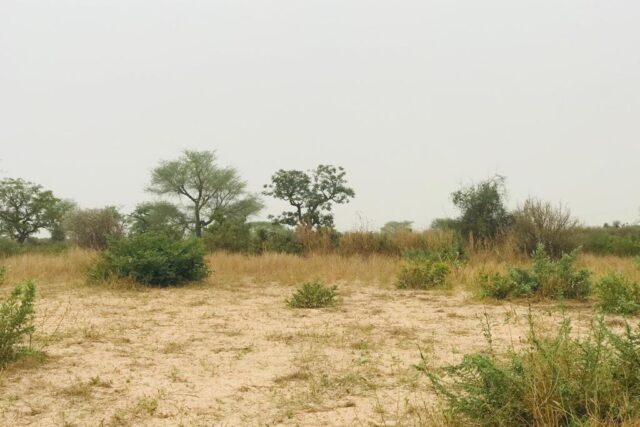 Terrain de 1,87 hectare vers Méouane