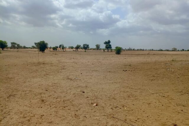 Terrain de 1,87 hectare vers Touba Toul Terrain de 1,87 hectare vers Touba Toul