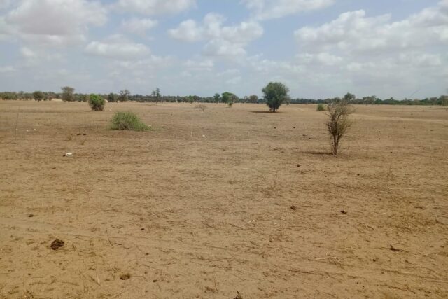 Terrain de 1,87 hectare vers Touba Toul