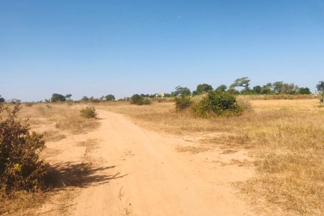 Terrain de 1,91 hectare vers Notto Diobass Terrain de 1,91 hectare vers Notto Diobass