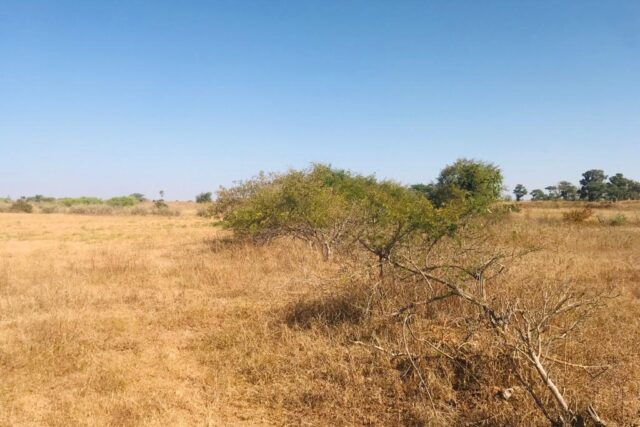 Terrain de 1,91 hectare vers Notto Diobass