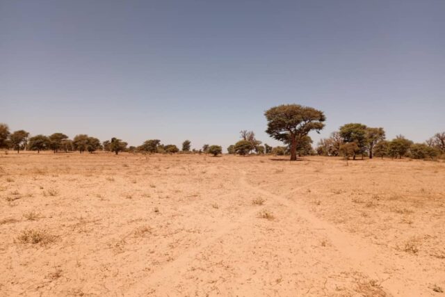 Terrain de 1,91 hectare vers Tassette Terrain de 1,91 hectare vers Tassette