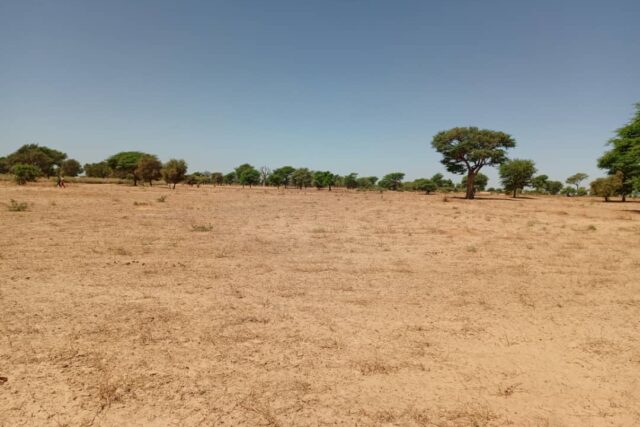 Terrain de 1,91 hectare vers Tassette