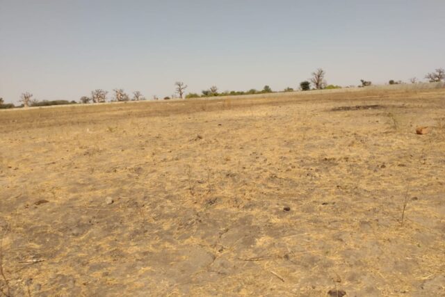 Terrain de 1,95 hectare vers Sandiara Terrain de 1,95 hectare vers Sandiara