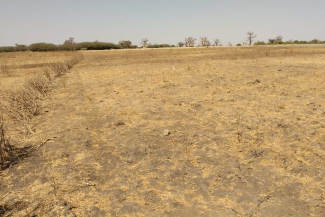 Terrain de 1,95 hectare vers Sandiara