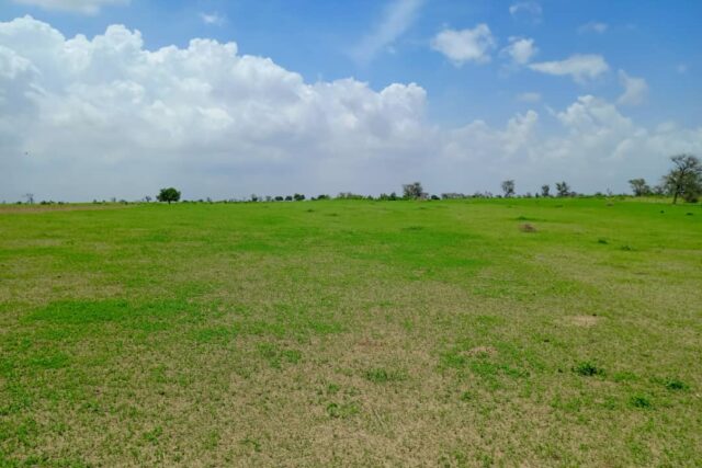 Terrain de 1,97 hectare vers Diourbel Terrain de 1,97 hectare vers Diourbel