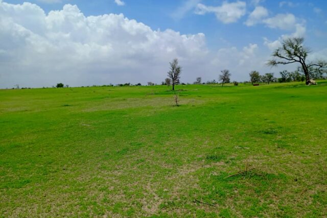 Terrain de 1,97 hectare vers Diourbel