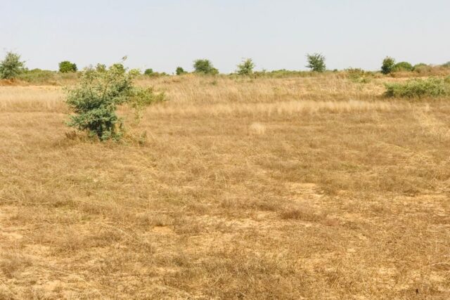 Terrain de 1,99 hectare vers Cherif Lô