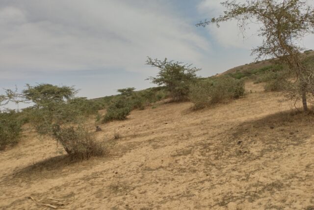 Terrain de 10 hectares vers Darou Khoudoss Terrain de 10 hectares vers Darou Khoudoss
