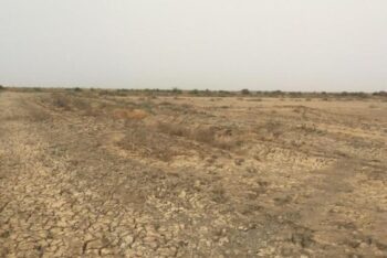 Terrain de 10 hectares vers Diama Terrain de 10 hectares vers Diama